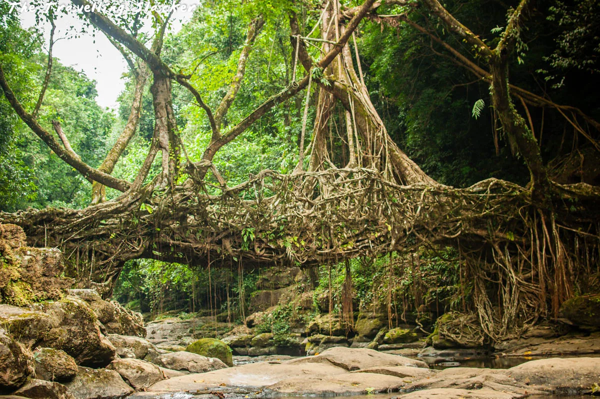 Meghalaya Scenic Tour