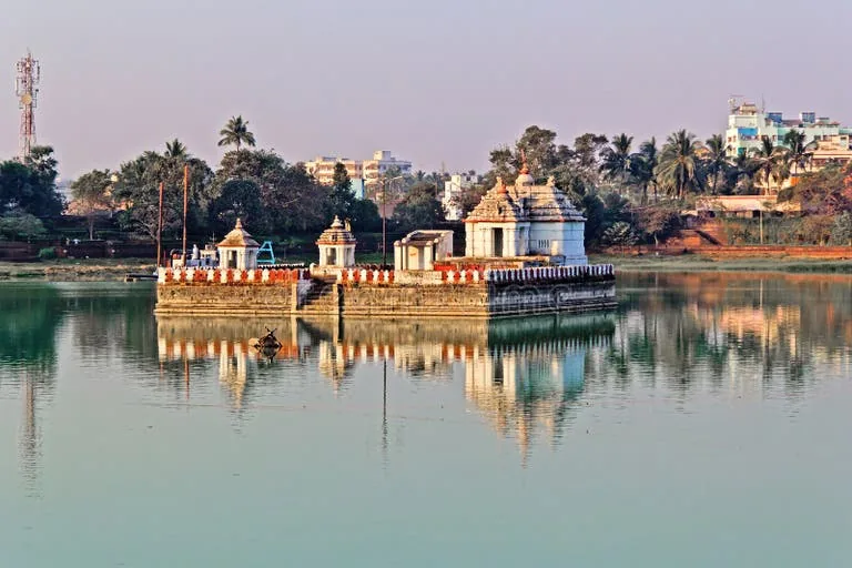 Day 1 - Arrival at Bhubaneswar & Ancient Temples - photo 5